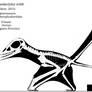 Bergamodactylus Skeletal