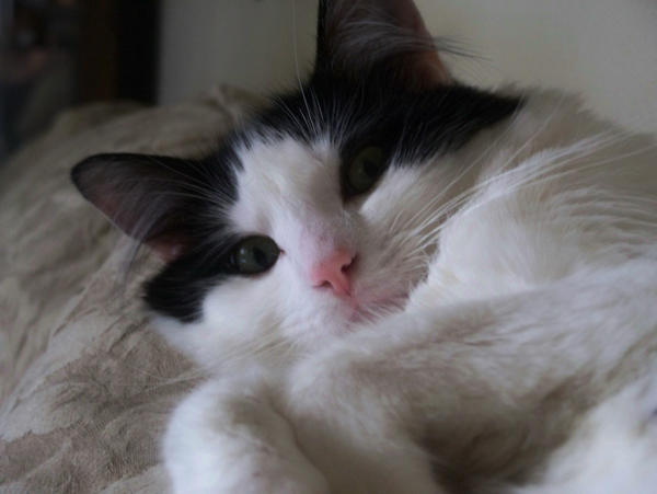 Roxas - Are you done? by An-Insane-One on DeviantArt