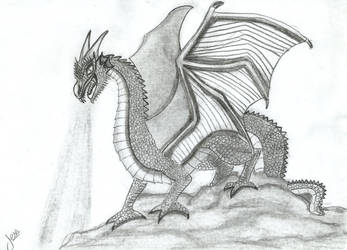 Dragon0001