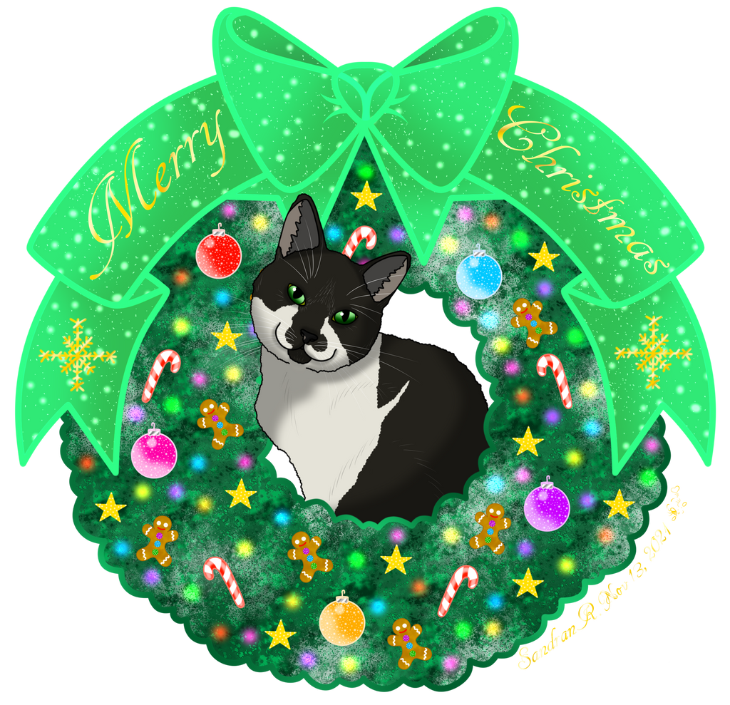 46+ Christmas Kitty Pictures 2021