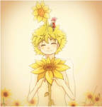 Take care the girasol boy. CONTEST by laupicero