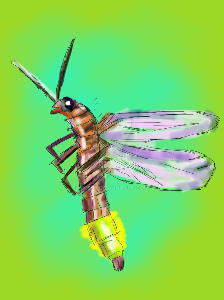 firefly by JC505 on DeviantArt