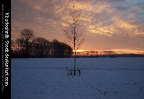 Snowy Sunrise stock