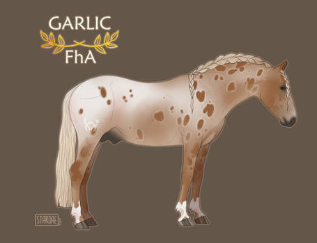 ||  FhA Garlic  ||