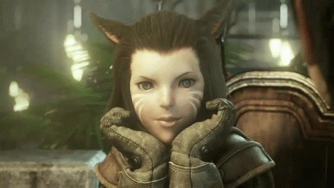 Michote Chasing Animation Miqo'te race GIF slow by TheHatterCrazy on DeviantArt