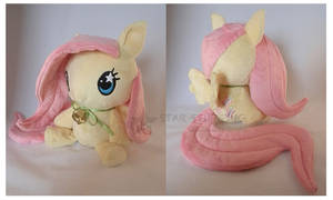 FlutterFloppy (03)