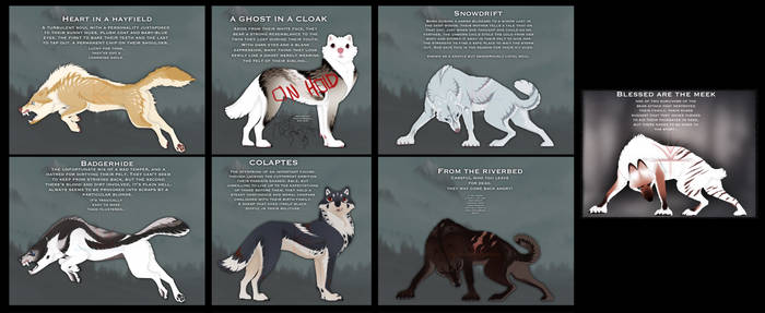 Wolf adopts 17.3.23 ( closed! )