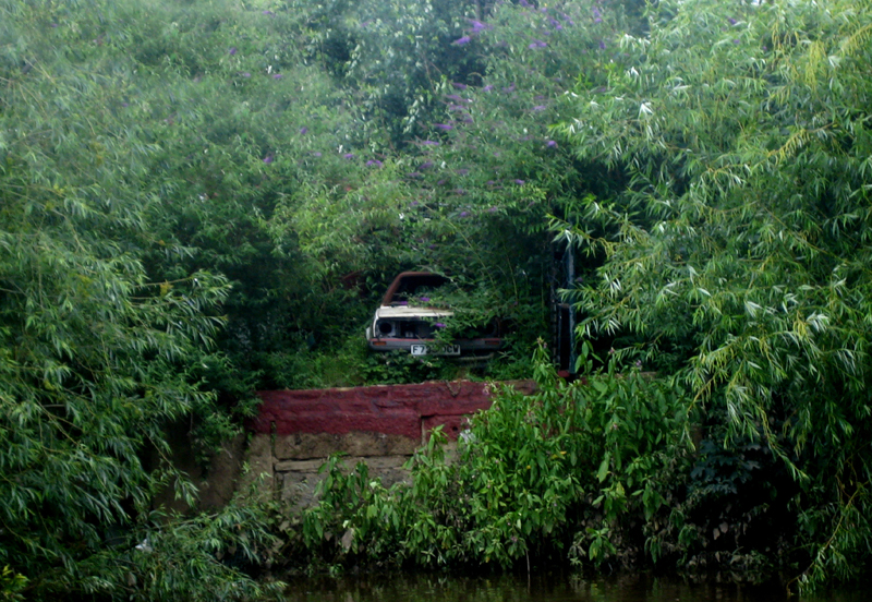 Abandoned Car