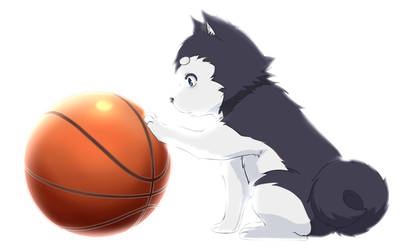 Kuroko No Basket Nr Two Just To Be Sure