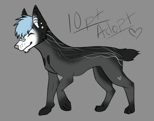 10pt Dog Adopt-CLOSED