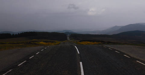 tHe RoaD