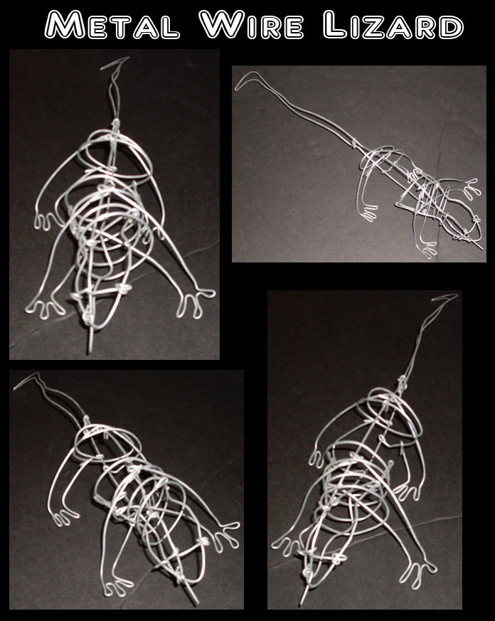 Wire Lizard by KiRAWRa on DeviantArt