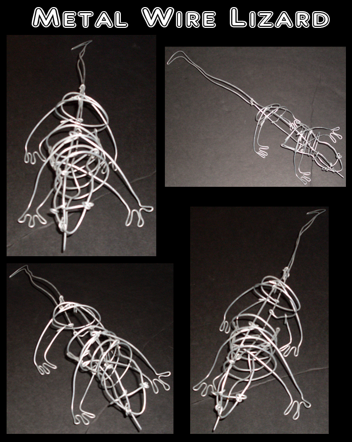 Wire Lizard by KiRAWRa on DeviantArt