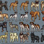 Plush Dogs 7