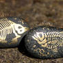 Painted Fossil Rock Magnets - Fish