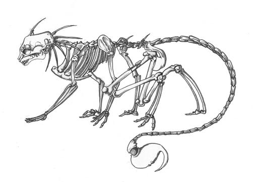 Alien Skeletal Structure by SimplyIntoxicating on DeviantArt