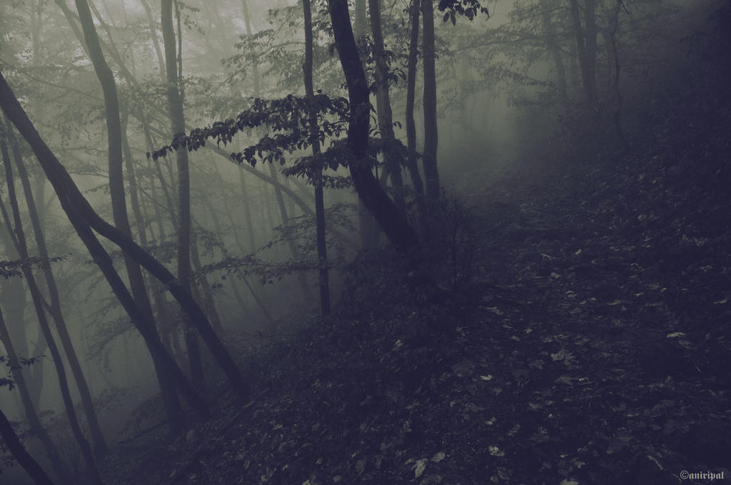 overcast VI