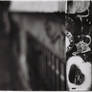 ANALOGUE october: the leaves and the city (V)