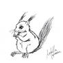 Ardilla