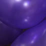 Purple Passion 7