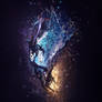 Fluids