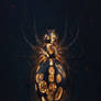 Light widow
