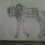 Horse and girl