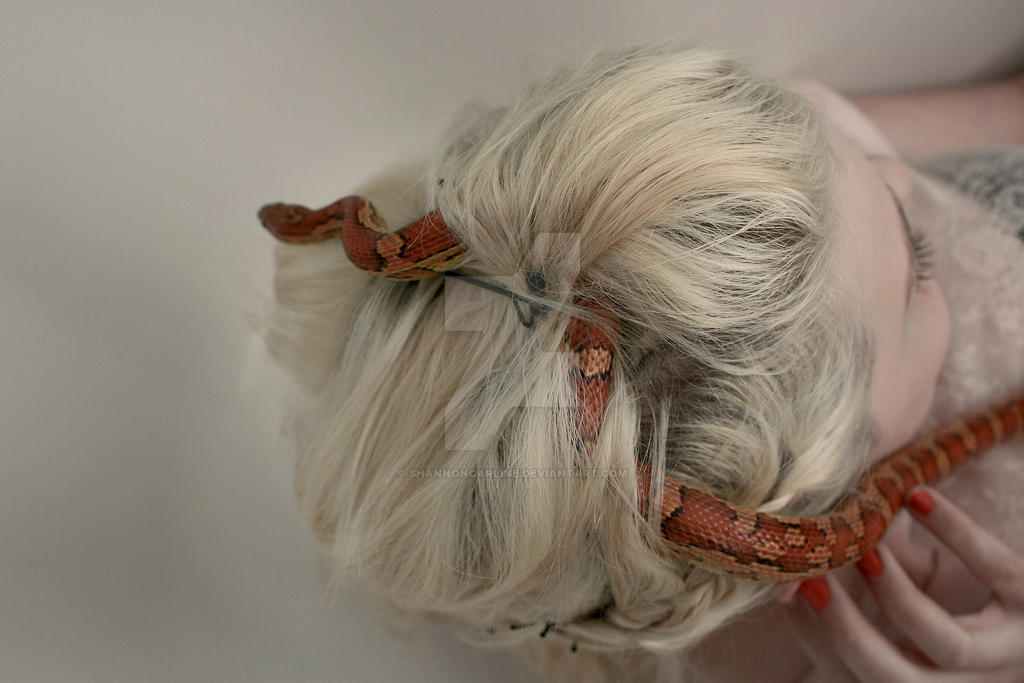 Restless nature by ShannonCarline on DeviantArt