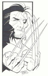 sketchy : Adamantium