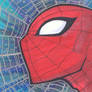 marker : Spider-man