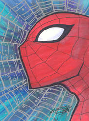 marker : Spider-man