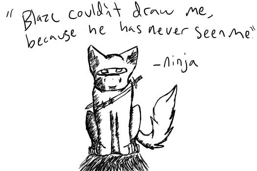 Ninja