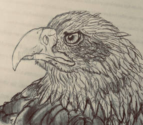California Saga (The Beaks of Eagles)