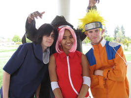 Team 7 and the Bug Man