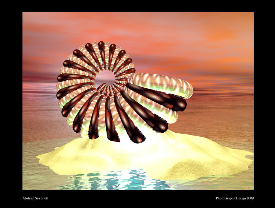 Abstract Shell Graphics Abstract Sea Shell by PhotoGraphicdesign on DeviantArt