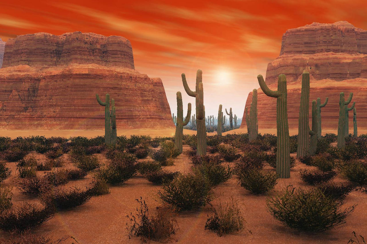 Пустыня мексики Пустыня мексики