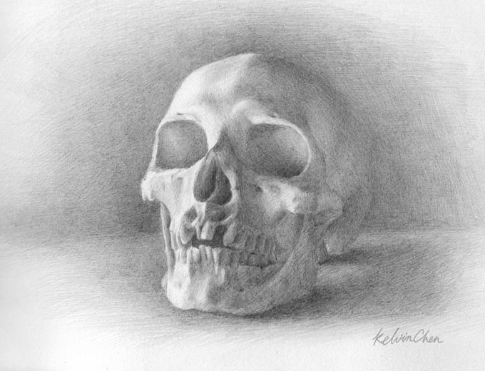 Skull Study SVA 2013-04-21