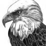 Eagle 1 edited-1