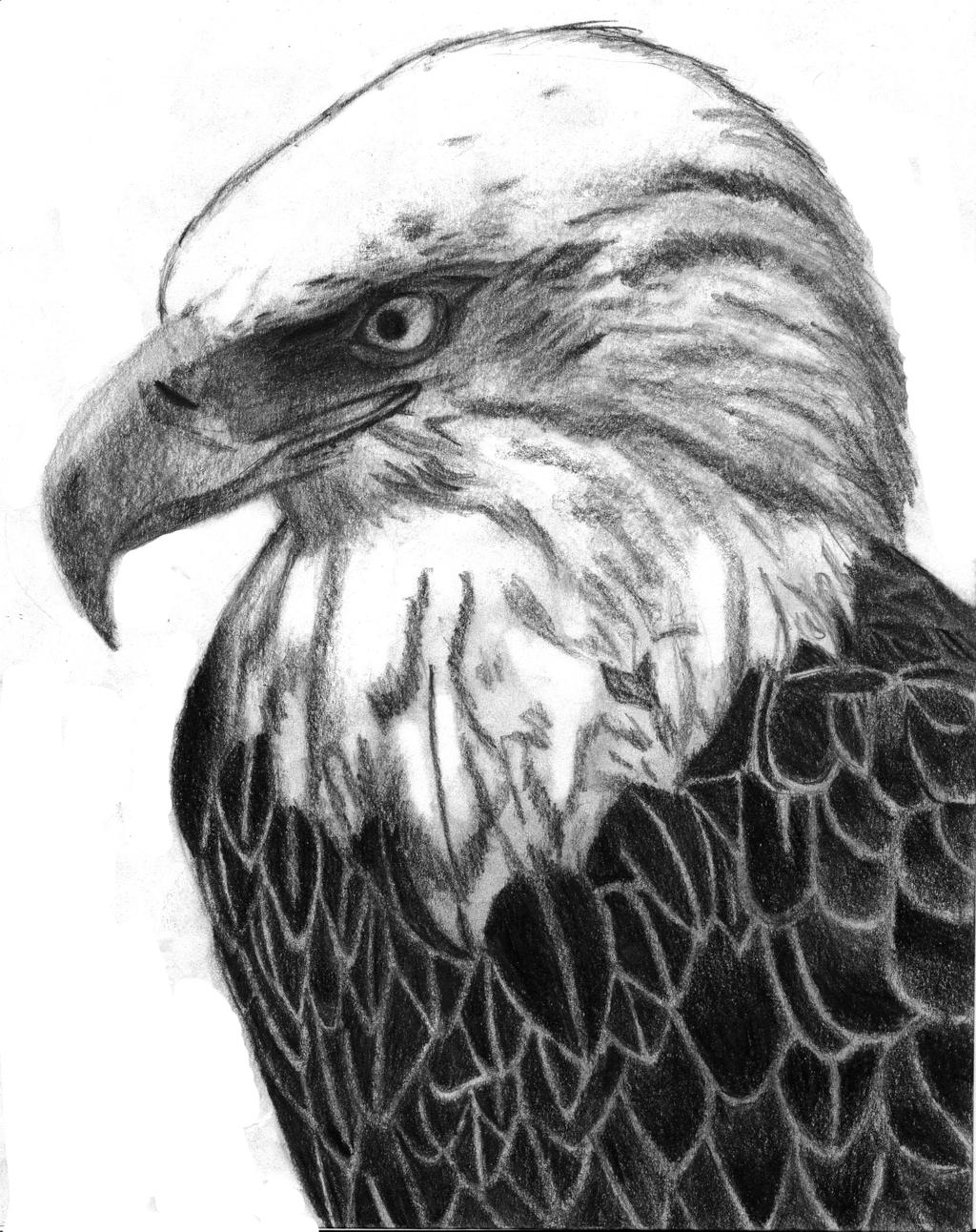 Eagle 1 edited-1