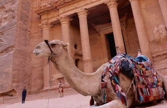 Petra... and a camel