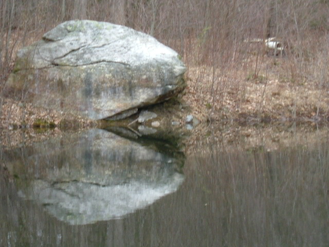 a rock's reflection