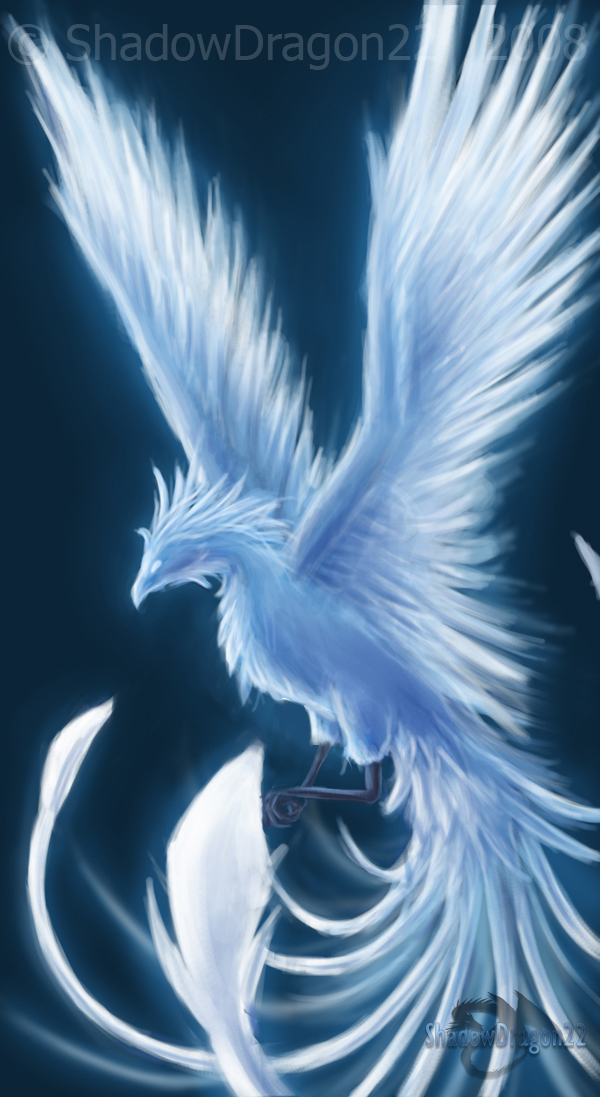 Winter Phoenix - Contest Entry by ShadowDragon22
