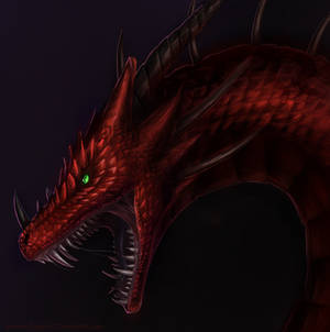 Ven Dragon Portrait