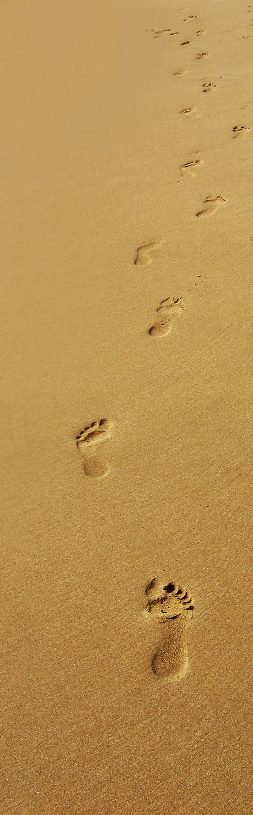 footsteps