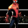 the Superior Spider-Man