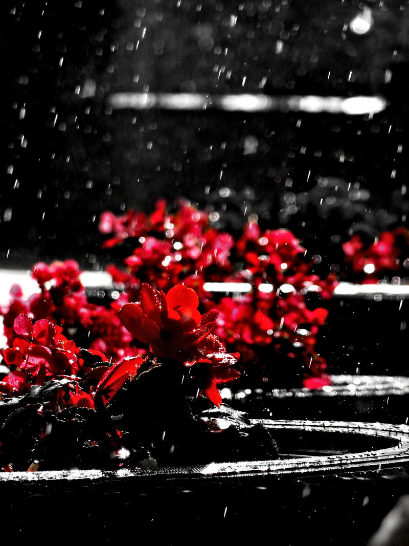 Raining Red -edited-