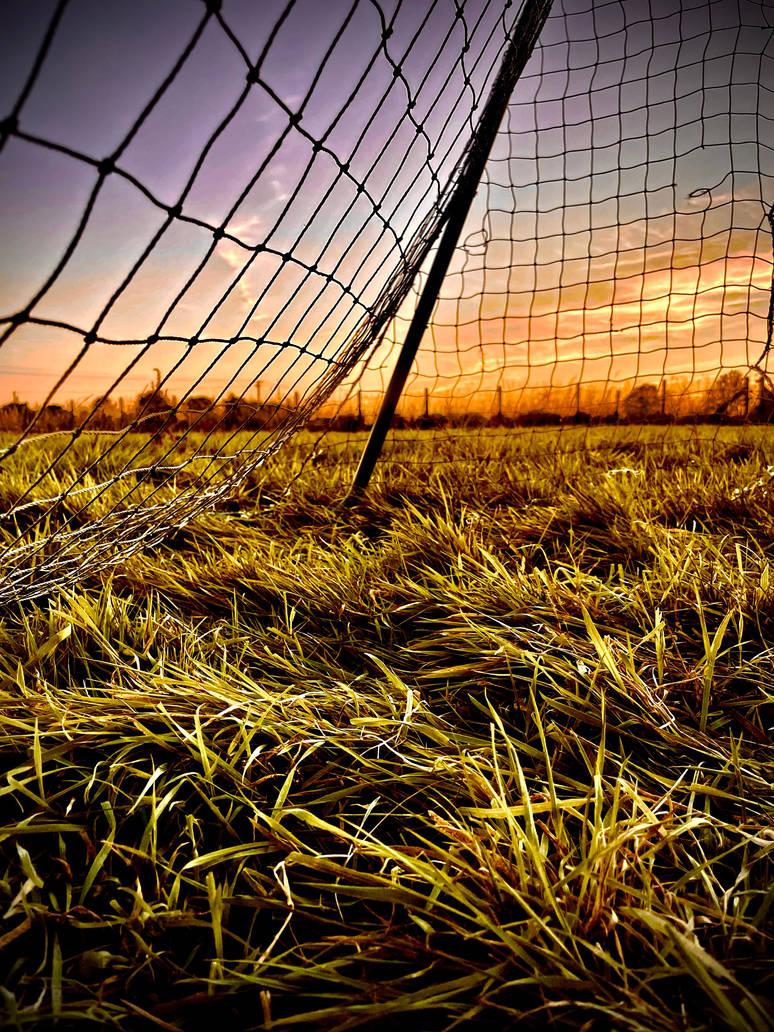 Rainsnets Nets by DavidRiand7 on DeviantArt