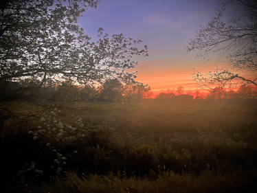 Sunset Retz Countryside