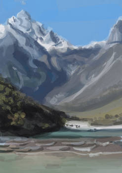 practice landscape