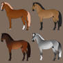 Warmblood Sale Designs ALL SOLD